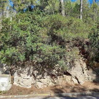 Terreno en venta en Vallirana