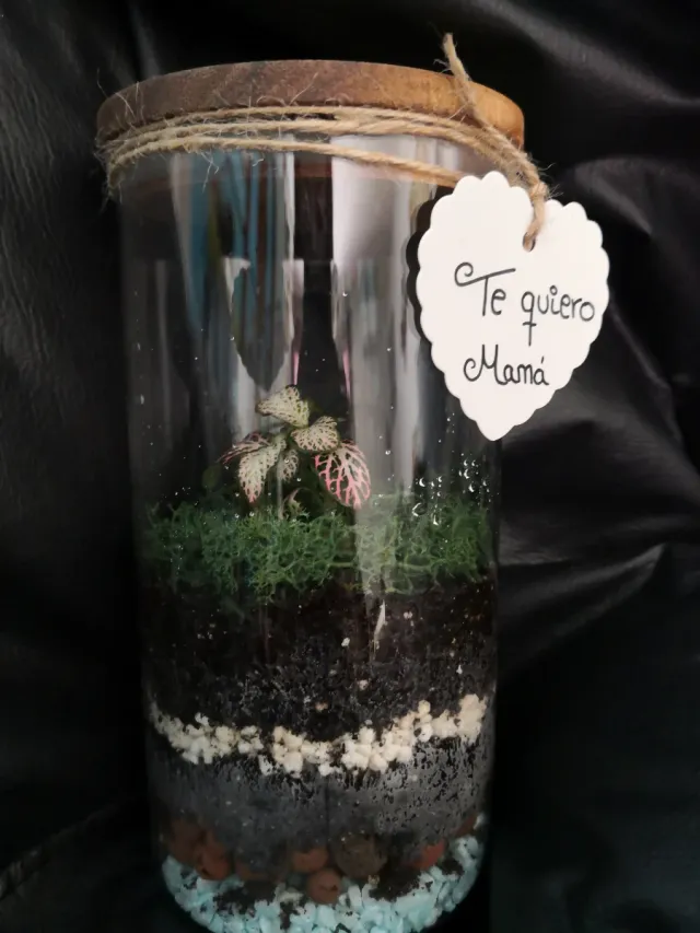 Jardínes eternos y kokedamas