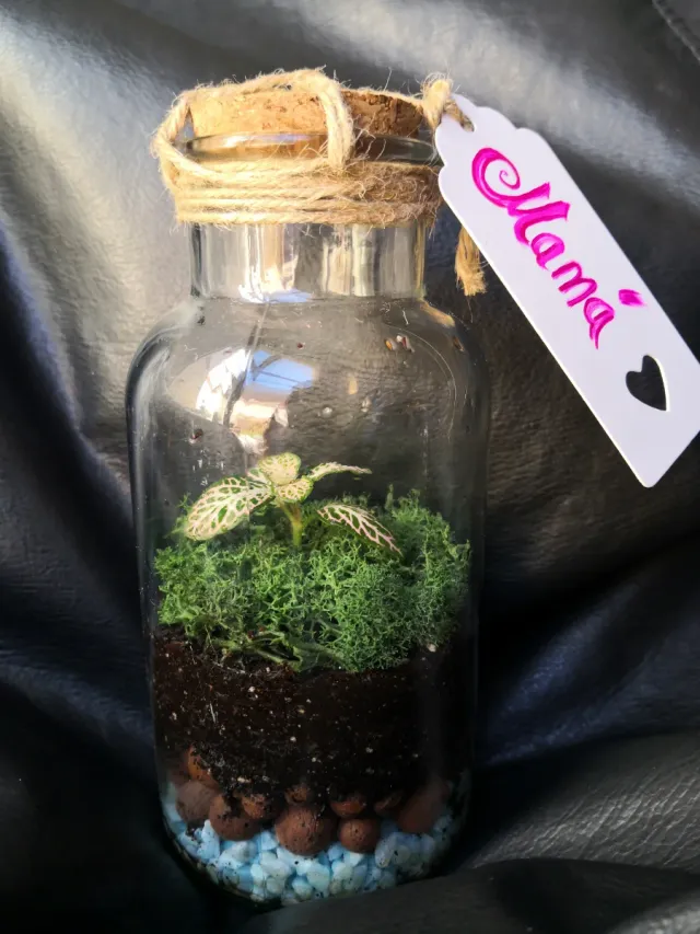 Jardínes eternos y kokedamas