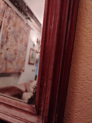 Specchio antico in legno massello