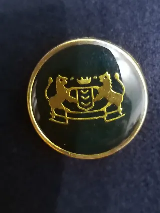 Blazer azul marino con botones dorados