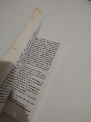 Le ragazze di Sanfrediano