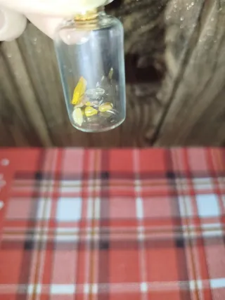 Ritual Próspero 2026. Abundancia y Prosperidad