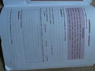 (CAT).PONT QUAD.LLENGUA 6?PRIMARIA