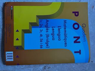 (CAT).PONT QUAD.LLENGUA 6?PRIMARIA