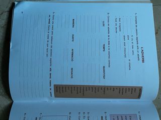 (CAT).PONT QUAD.LLENGUA 6?PRIMARIA