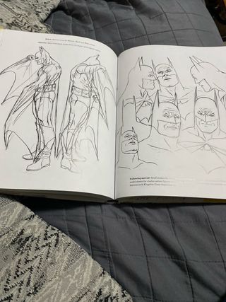 Rough Justice The DC Comics Sketches of Alex Ross