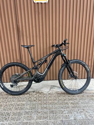 Specialized Expert Carbon