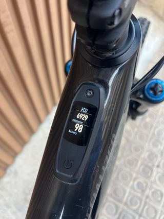 Specialized Expert Carbon