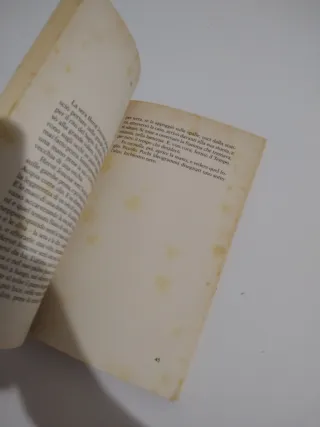 Seta (Italian Edition)