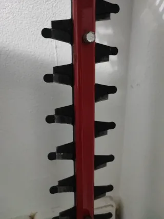 Cortasetos Einhell en muy buen estado