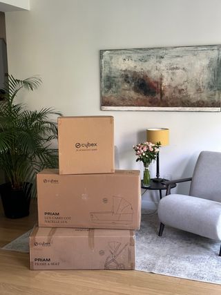 Cybex Priam Carrito de bebe(capazo+silla de paseo)