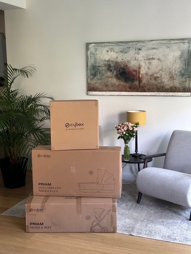 Cybex Priam Carrito de bebe(capazo+silla de paseo)