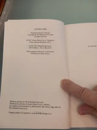 Central Park (Tascabili Narrativa) (Italian Edi...