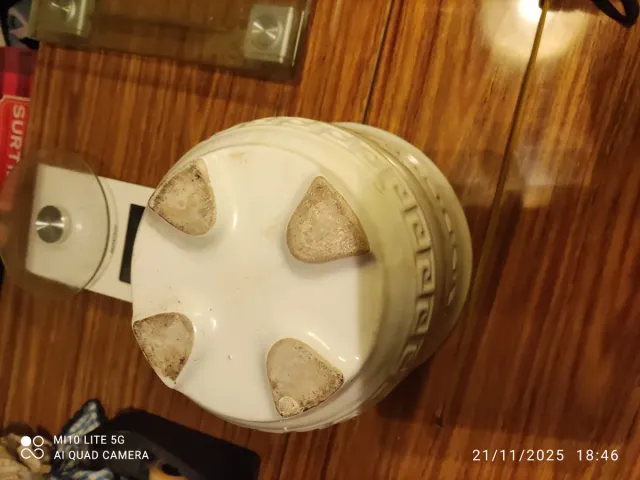 Basija de porcelana decorada