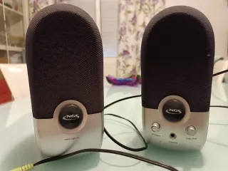 Altoparlanti NGS Soundband 200 Argento