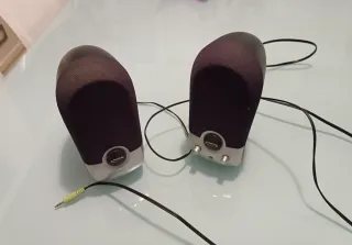 Altoparlanti NGS Soundband 200 Argento