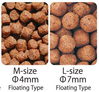 JPD Food Koi Profesional Japonés Original de Japon