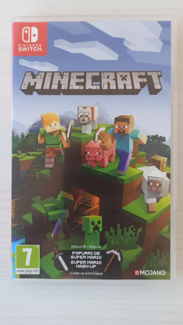 Minecraft Nintendo Switch