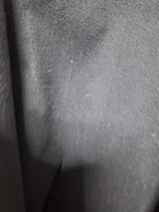 Cazadora impermeable forrada mujer