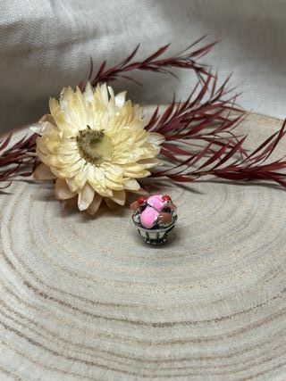 Charm Bol de Helado con Cerezas