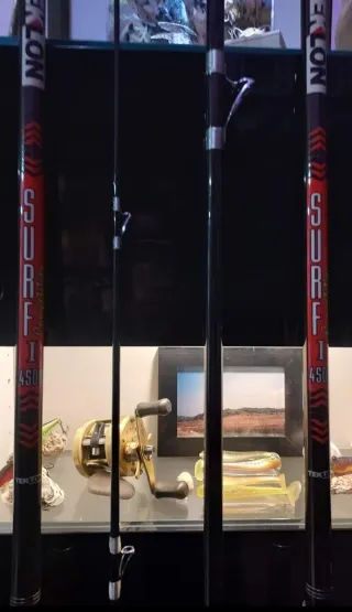 Cañas de surfcasting