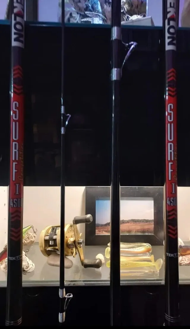 Cañas de surfcasting