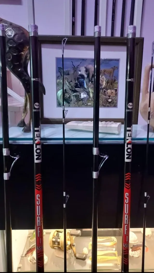 Cañas de surfcasting