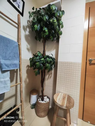 Planta Artificial Decorativa Plástico