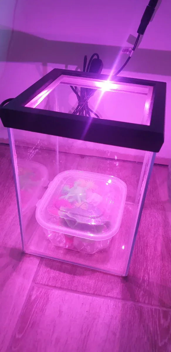 Mini pecera con plantas artificiales y luz led