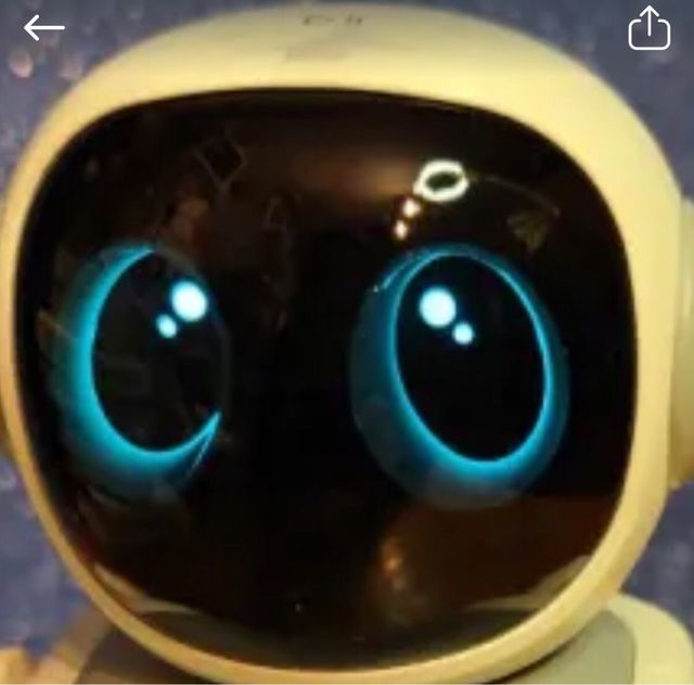 Robot Musical Robert de INNJOO