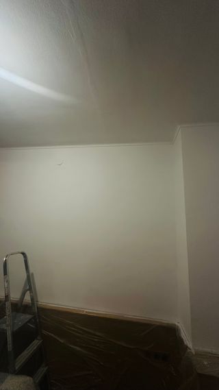 PINTOR GIRONA CON EXPERIENCIA