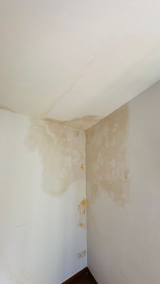 PINTOR GIRONA CON EXPERIENCIA