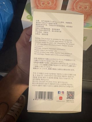 Pop Mart Labubu Big Into Energy Blind Box