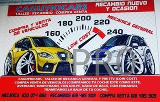 Luz matricula twingo clio 2