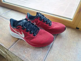 Nike Pegasus 37 Talla 43