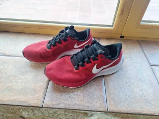 Nike Pegasus 37 Talla 43