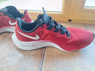 Nike Pegasus 37 Talla 43