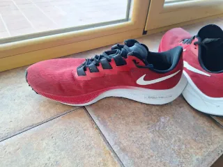 Nike Pegasus 37 Talla 43
