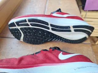 Nike Pegasus 37 Talla 43