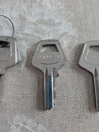 Chiave Conchiglia per armadi stradali