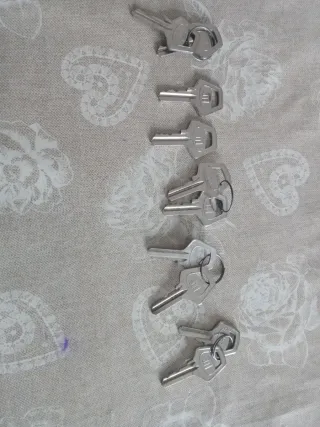 Chiave Conchiglia per armadi stradali