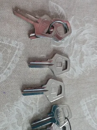 Chiave Conchiglia per armadi stradali