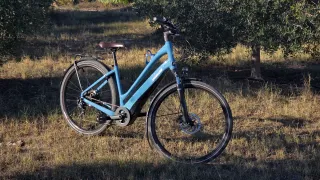 Specialized Como 2.0 Talla L