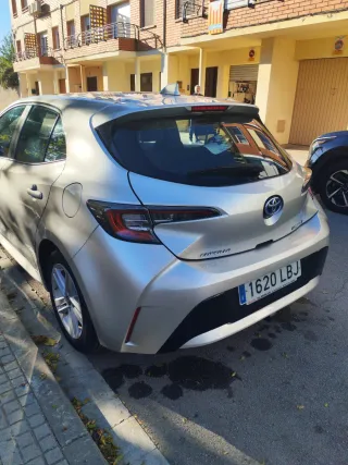 Toyota Corolla 2019