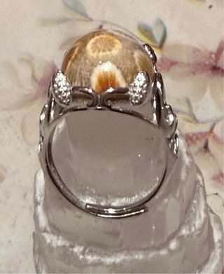 Anillo Plata 925 Ágata Fósil Ajustable