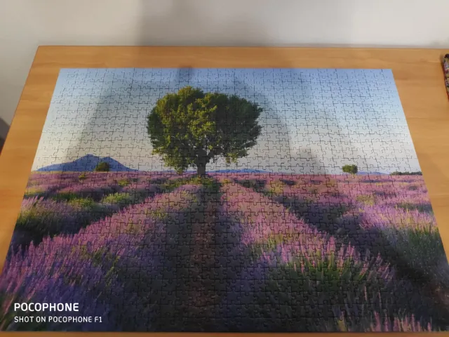 Puzzle 1000 Piezas  lavanda