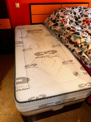 Canapé abatible 90x190 + Colchón Viscoelástico