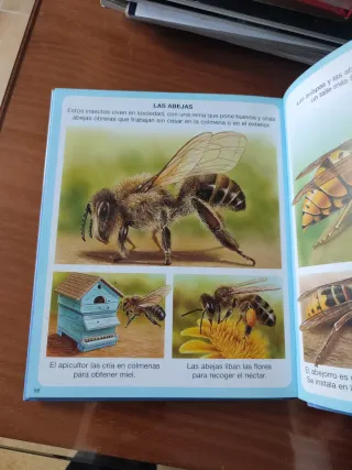 Diccionario por imagenes de los animales/ Anima...