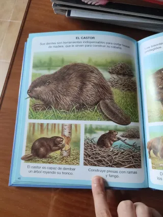 Diccionario por imagenes de los animales/ Anima...